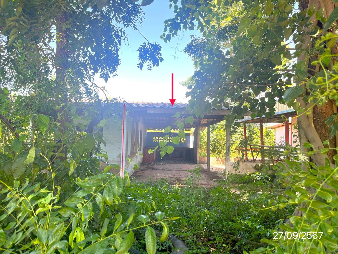 รูป บ้านเดี่ยว สำหรับขาย - ดงประคำ พรหมพิราม พิษณุโลก - รูปที่ 12/24