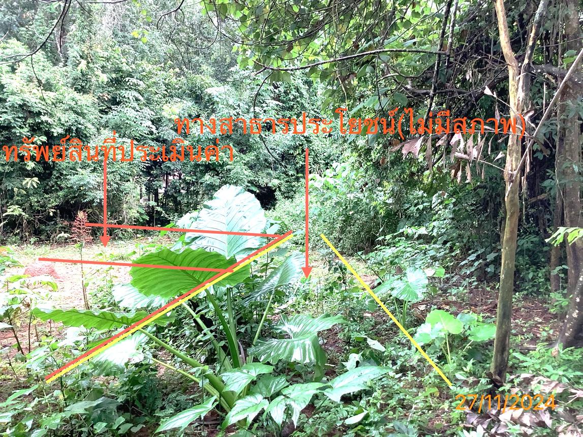 รูป ที่ดินว่างเปล่า สำหรับขาย - ทับเที่ยง เมืองตรัง ตรัง - รูปที่ 9/18