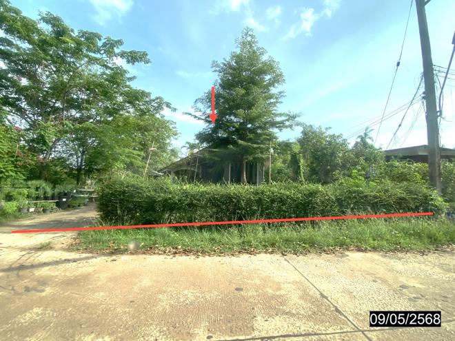 รูป บ้านเดี่ยว สำหรับขาย - ศรีสุทโธ บ้านดุง อุดรธานี - รูปที่ 7/20