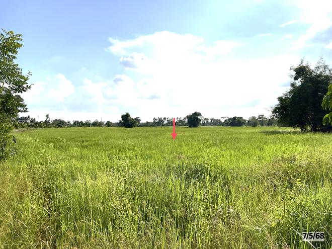 picture LAND for sale  Lup Muang Kalasin Kalasin - 9/22