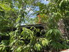 listing thumbnail image 27