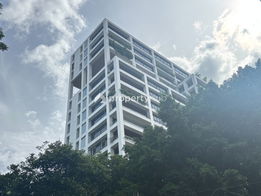 Project Polo Park Picture - 3/6
