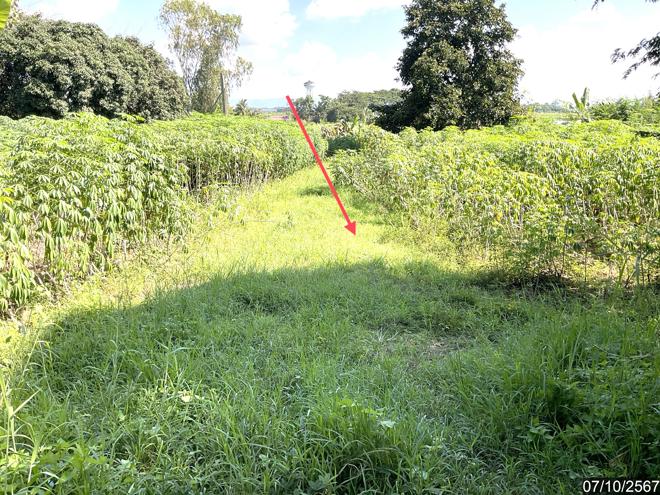 picture LAND for sale  Wiang Chai Wiang Chai Chiang Rai - 2/22