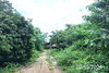 listing thumbnail image 19