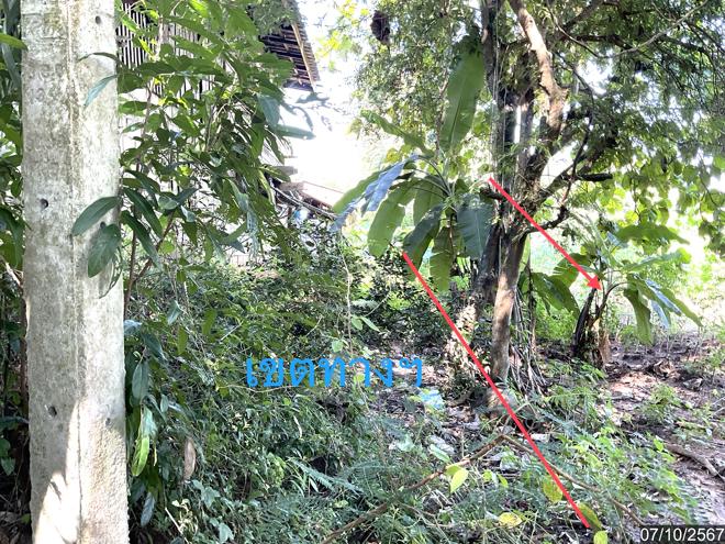 picture LAND for sale  Wiang Chai Wiang Chai Chiang Rai - 5/22