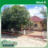 listing thumbnail image 11