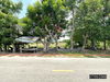 listing thumbnail image 16