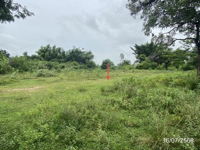 picture LAND for sale  Kham Yai Huai Mek Kalasin - 4/24
