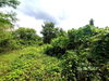 listing thumbnail image 25