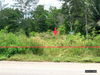 listing thumbnail image 7