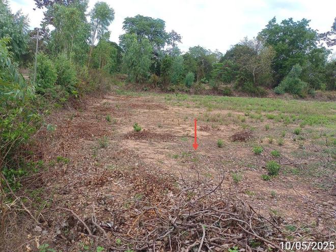 picture LAND for sale  Nong Muang Muang Samsip Ubon Ratchathani - 9/24