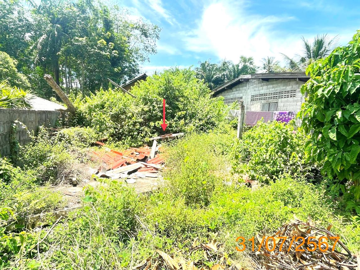 picture HOME for sale  Khlong Phon Khlong Thom Krabi - 16/24