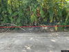 listing thumbnail image 16