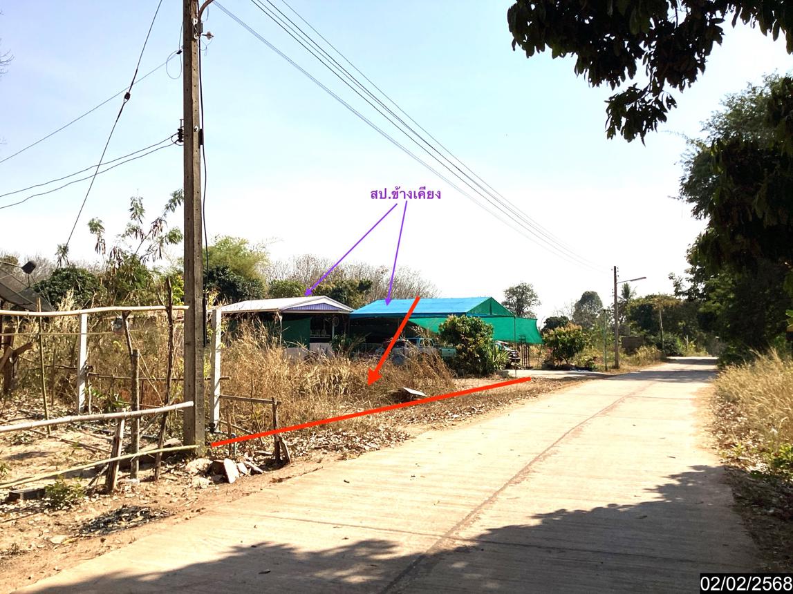 picture LAND for sale  Song Dao Song Dao Sakon Nakhon - 10/18