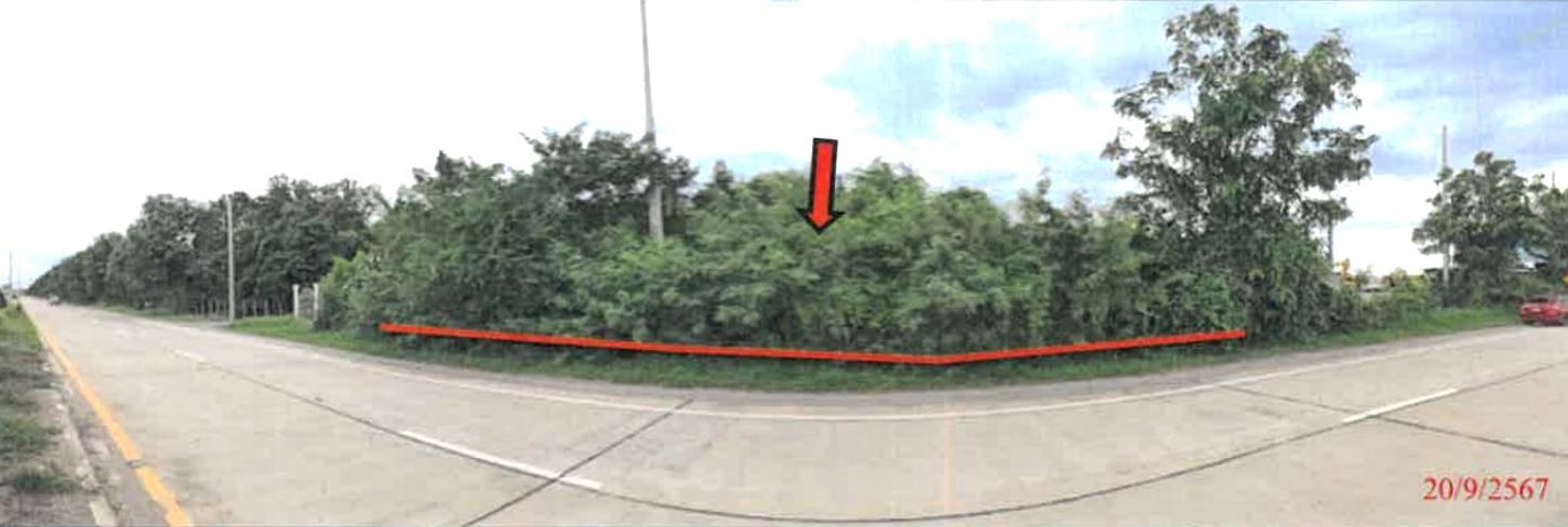 picture LAND for sale  Rua Yai Muang Suphanburi Suphanburi - 6/14
