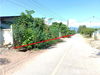listing thumbnail image 9
