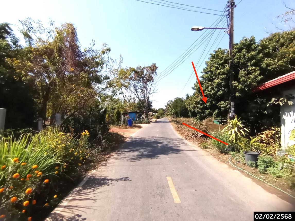 picture LAND for sale  Song Dao Song Dao Sakon Nakhon - 12/18