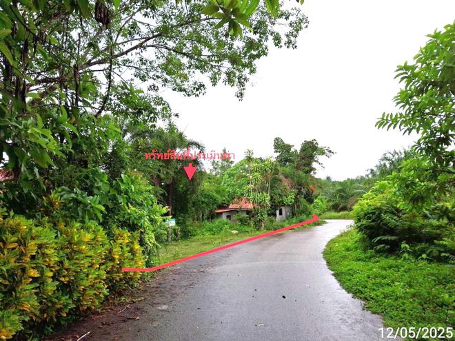 รูป บ้านเดี่ยว สำหรับขาย - วังมะปรางเหนือ วังวิเศษ ตรัง - รูปที่ 20/44