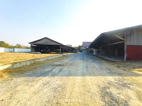 รูป บ้านเดี่ยว สำหรับขาย - บ้านแหลม บางปลาม้า สุพรรณบุรี - รูปที่ 61/64