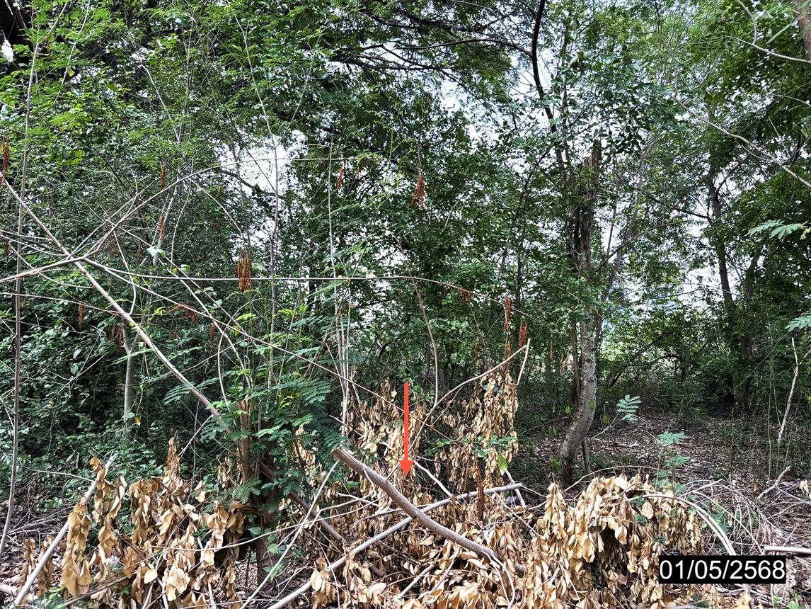 รูป ที่ดินว่างเปล่า สำหรับขาย - เมืองเก่า เมืองขอนแก่น ขอนแก่น - รูปที่ 13/24