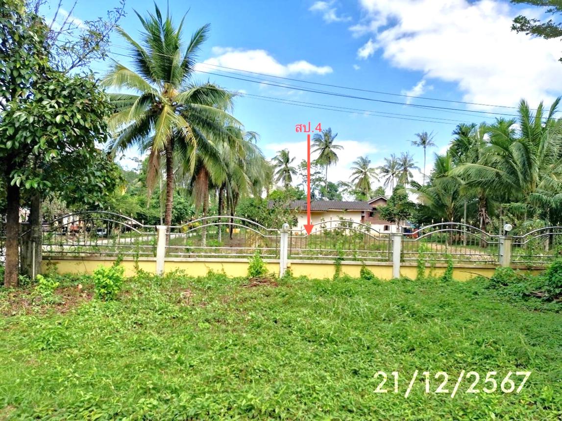 รูป บ้านเดี่ยว สำหรับขาย - นาพละ เมืองตรัง ตรัง - รูปที่ 26/32