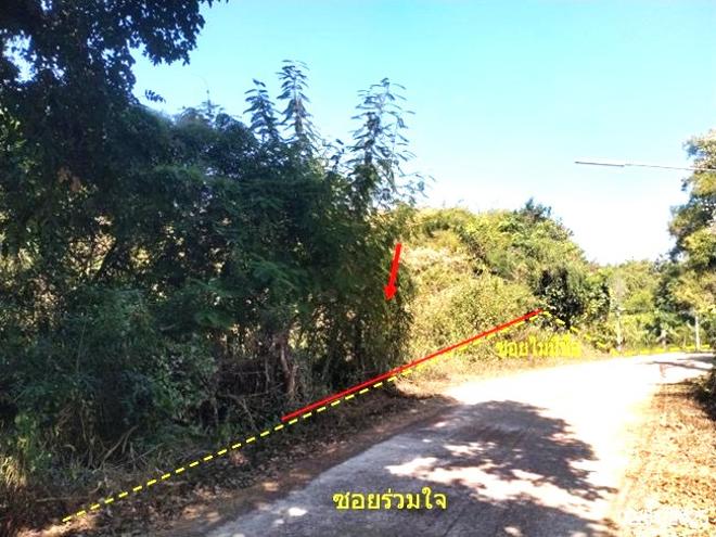 รูป ที่ดินว่างเปล่า สำหรับขาย - สามพร้าว เมืองอุดรธานี อุดรธานี - รูปที่ 3/20