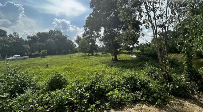 picture LAND for sale  Sa Kaeo Muang Sa Kaeo Srakaeo - 2/14