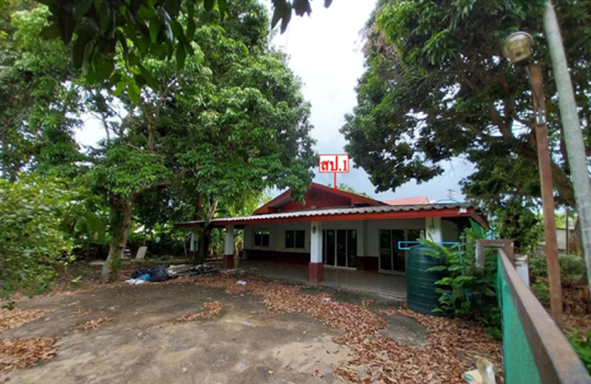 picture HOME for sale  Muang Len San Sai Chiang Mai - 7/10