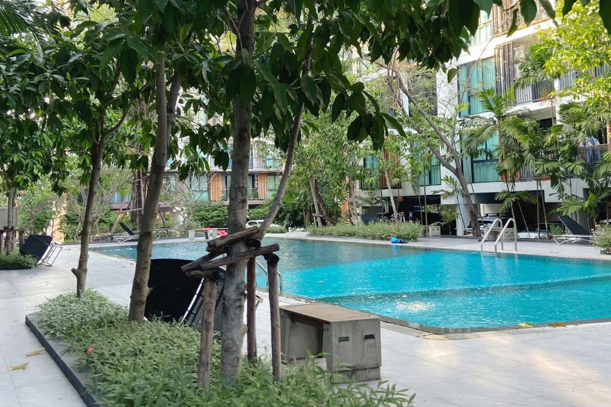 รูป AsseteD190825  เซล รัตนาธิเบศร์ (Zelle Rattanathibet) - รูปที่ 15/18