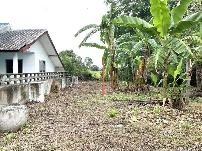 รูป บ้านเดี่ยว สำหรับขาย - หนองกระโดน เมืองนครสวรรค์ นครสวรรค์ - รูปที่ 17/44