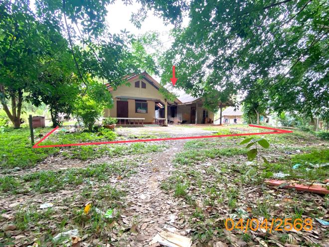 รูป บ้านเดี่ยว สำหรับขาย - คลองพน คลองท่อม กระบี่ - รูปที่ 1/32