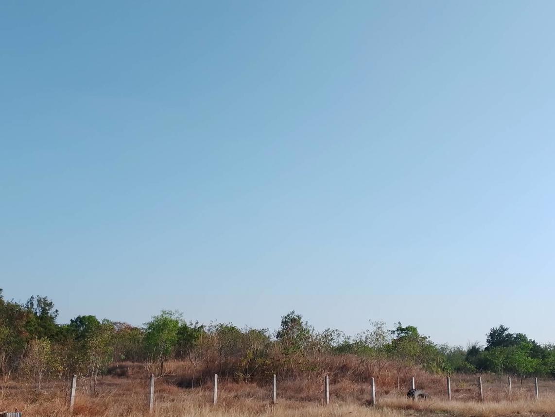picture LAND for sale  Nong Phu Chaturaphak Phiman Roi Et - 14/18