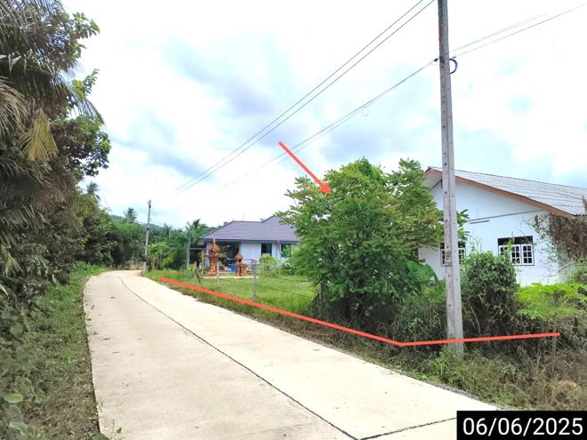รูป บ้านเดี่ยว สำหรับขาย - วัดประดู่ เมืองสุราษฎร์ธานี สุราษฎร์ธานี - รูปที่ 2/40