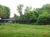 listing thumbnail image 9