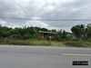 listing thumbnail image 15