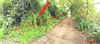 listing thumbnail image 24