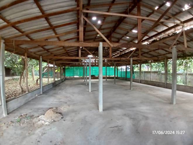 รูป โกดัง สำหรับขาย - วังผาง เวียงหนองล่อง ลำพูน - รูปที่ 10/26
