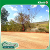 listing thumbnail image 13