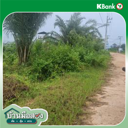 picture LAND for sale  Nong Yat Muang Nakhon Phanom Nakhon Phanom - 10/12