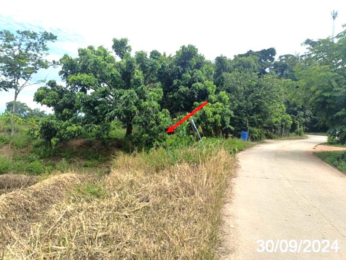 picture LAND for sale  Mae Kha Fang Chiang Mai - 14/18