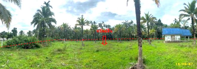รูป บ้านเดี่ยว สำหรับขาย - บางเป้า กันตัง ตรัง - รูปที่ 6/24