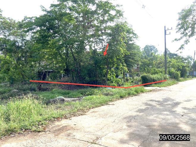 รูป บ้านเดี่ยว สำหรับขาย - ศรีสุทโธ บ้านดุง อุดรธานี - รูปที่ 5/20