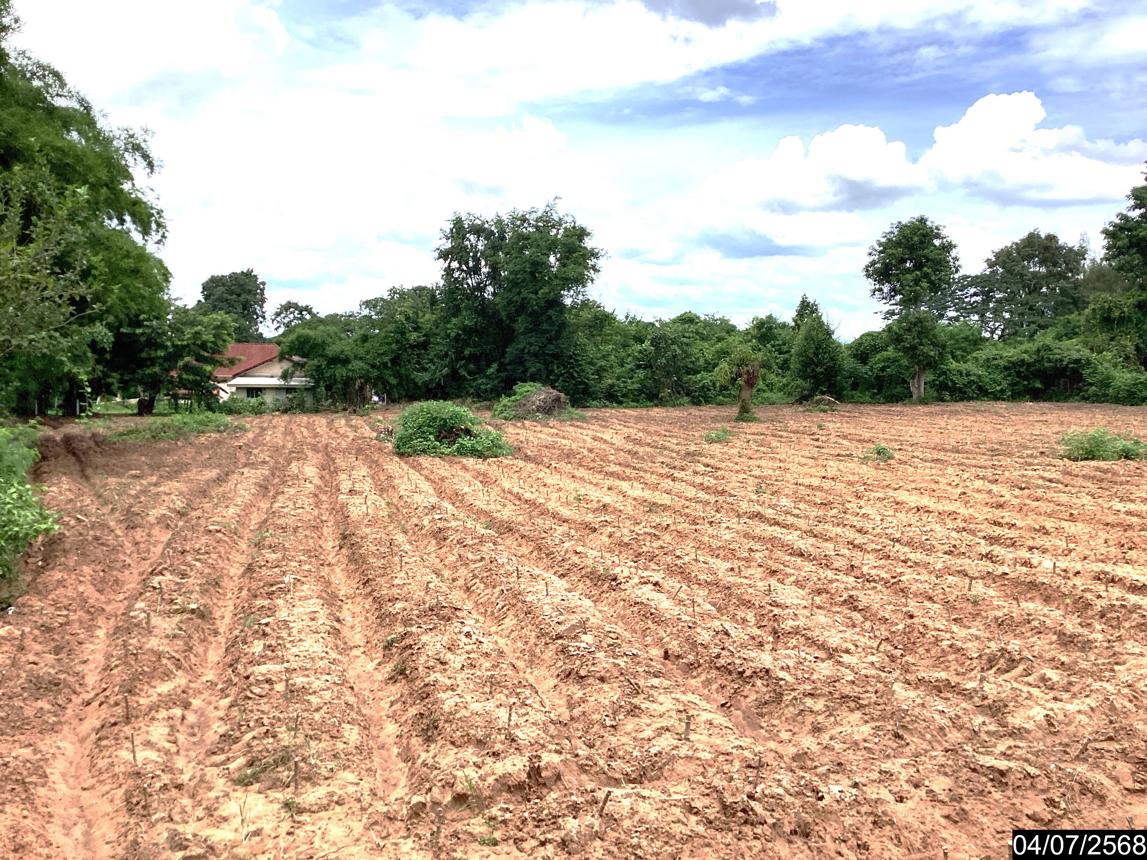 รูป ที่ดินว่างเปล่า สำหรับขาย - นาดี เมืองอุดรธานี อุดรธานี - รูปที่ 19/26