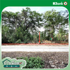 listing thumbnail image 21