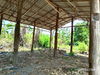 listing thumbnail image 23