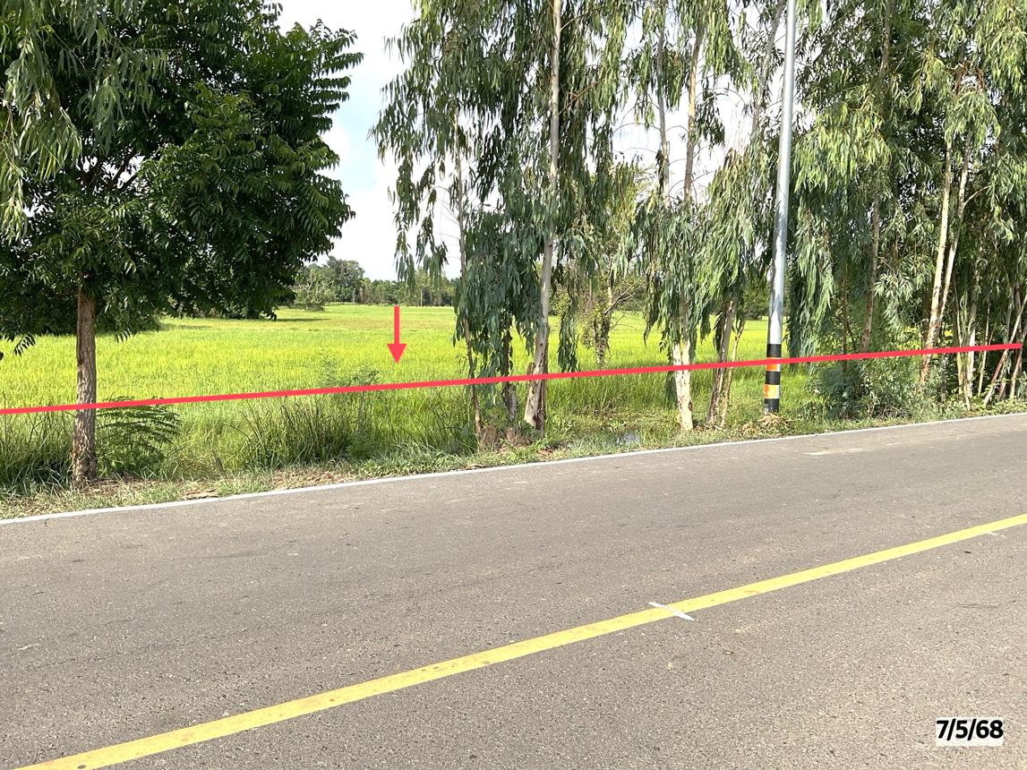 picture LAND for sale  Lup Muang Kalasin Kalasin - 10/22