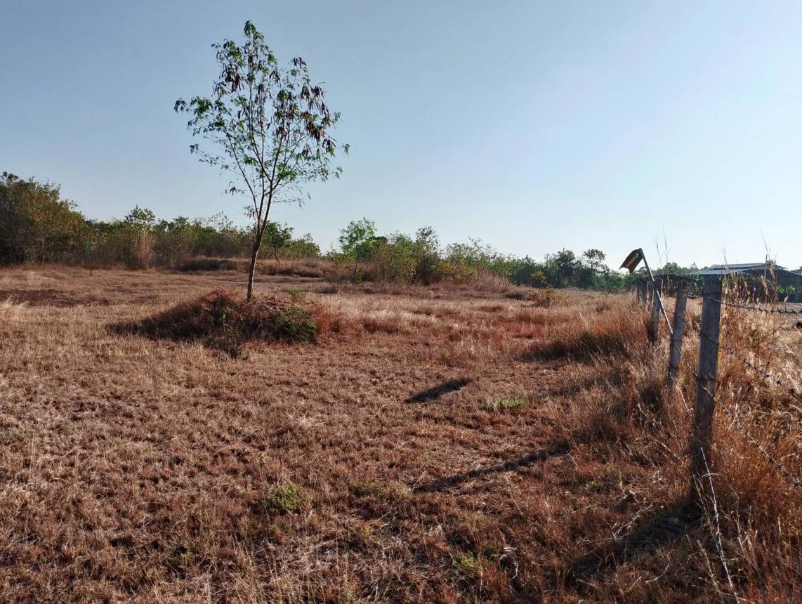 picture LAND for sale  Nong Phu Chaturaphak Phiman Roi Et - 9/18