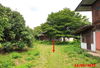 listing thumbnail image 34