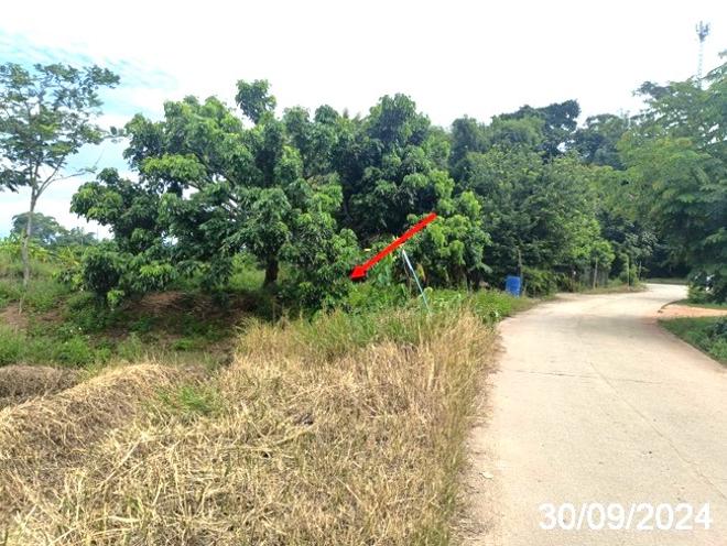 picture LAND for sale  Mae Kha Fang Chiang Mai - 7/18