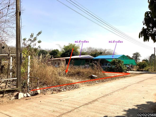 picture LAND for sale  Song Dao Song Dao Sakon Nakhon - 2/18